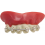 Dentier Appareil Dentaire