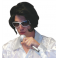 Perruque Elvis avec Lunettes & Micro