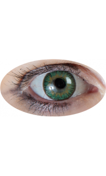 Lentille Iris Vert