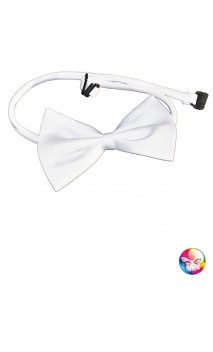 Noeud Papillon Blanc