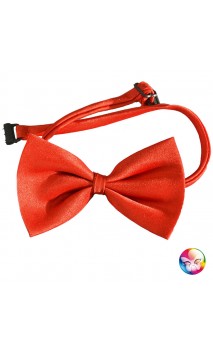 Noeud Papillon Rouge